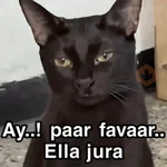 🐈‍⬛🎄LA GATA LOCA🎄Tiktok🎄🐈‍⬛