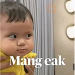 meme reaction tiktok wa