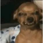 Tiktok comentarios 