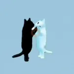 Gatitos lindos para el chat ❤️🐈