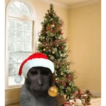 Monitos Navideños ❤️🐒🎄