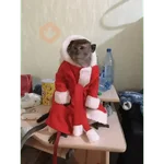 Monitos Navideños ❤️🐒🎄