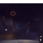 Free Fire moods 