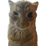 Lupitatt