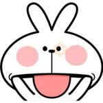 Spoiled Rabbit Expressions 