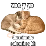 San Valentín 🐱❤️