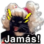 🫵😾🐈‍⬛ JAMÁS!!! 🐈‍⬛😾🫵