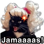 🫵😾🐈‍⬛ JAMÁS!!! 🐈‍⬛😾🫵