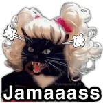 🫵😾🐈‍⬛ JAMÁS!!! 🐈‍⬛😾🫵