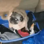 🙅🏻‍♀️ Fuera fuera depresión! 🗣