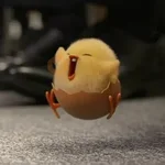Shakipiyo 🐣