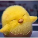 Shakipiyo 🐣