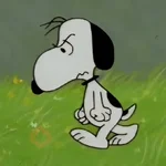 🦴🏠 SNOOPY 9 🏠🦴