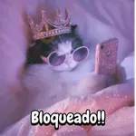 Reaccion gatuna San Valentín♥️
