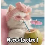 Reaccion gatuna San Valentín♥️