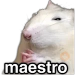 ✨ Memes mix 10 🪄 🔥