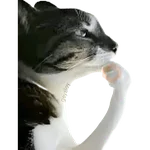 ✨ Memes mix 10 🪄 🔥