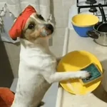 Snoopy
