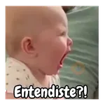 Bebés tiernos pelean 💢😡