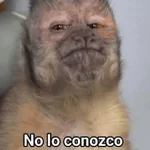 🍋‍🟩💬 Animales pal CHAT 💬🍋‍🟩