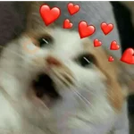 MUITO AMOR PARA DAR 💕