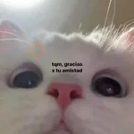 modo uwu