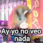 La burrita burrona 🫏💖