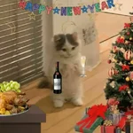 🎆🥂 Año Nuevo Mood 🥂🎆