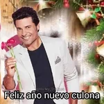 🎆🥂 Año Nuevo Mood 🥂🎆