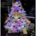 Memes navideños 🎄🎅
