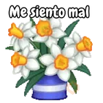 Ramo de San Valentín 💐🌷