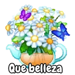 Ramo de San Valentín 💐🌷