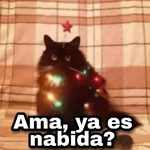 Navidad 🎁🎄🤶🏻