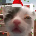 Navidad 🎁🎄🤶🏻