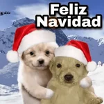Navidad 🎁🎄🤶🏻