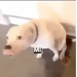 Fuera Fuera depresión 💃