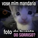 PRA FLERTAR COM SEU AMOR ❤️