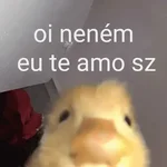 PRA FLERTAR COM SEU AMOR ❤️