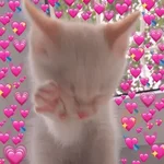 Muito amor 💖💓💗