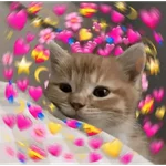 Muito amor 💖💓💗