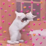 Muito amor 💖💓💗