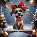 🎄 FELEZ NEVEDED 🎄