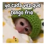 frío de monos 🙉❄️