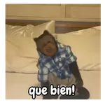 frío de monos 🙉❄️
