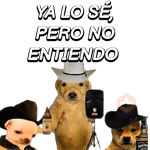 Eres Algo Inalcanzable 🎵🎼🎵