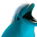 El pequeño delfín que hacía 🐬