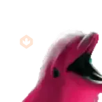 El pequeño delfín que hacía 🐬