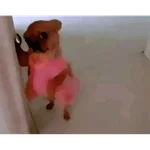 tiktok comentarios pt2