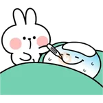 Couple Rabbit Kelinci Bucin