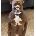 Fuera fuera depresión 🎶💃🏻